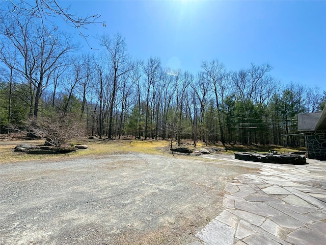 view of yard featuring a forest view