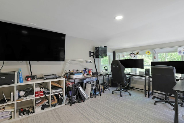 office featuring carpet floors