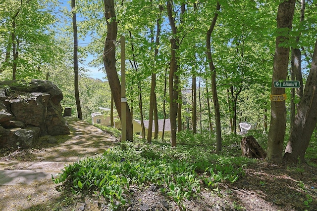 view of undeveloped land