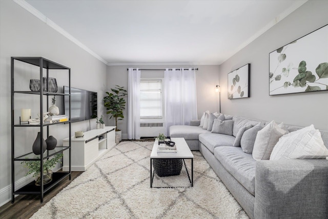 261 Central Ave Unit E4, Lawrence, NY 11559 - living room with radiator heating unit, baseboards, ornamental molding, and wood finished floors