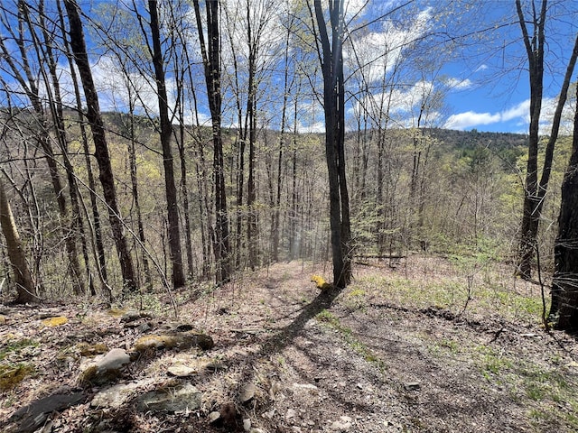 view of nature with a wooded view