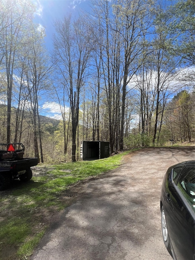view of road featuring a view of trees