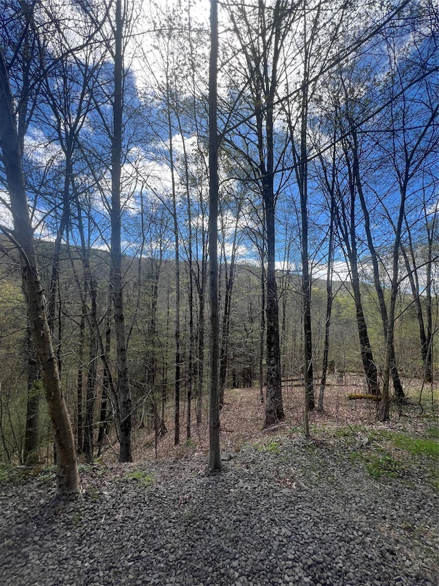 exterior space with a view of trees