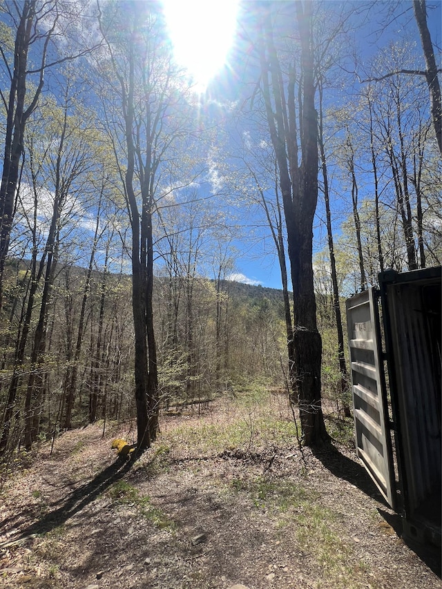 view of yard featuring a wooded view