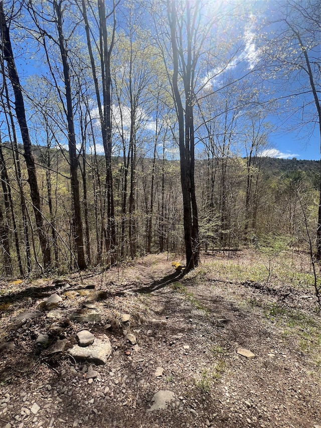 view of landscape featuring a view of trees