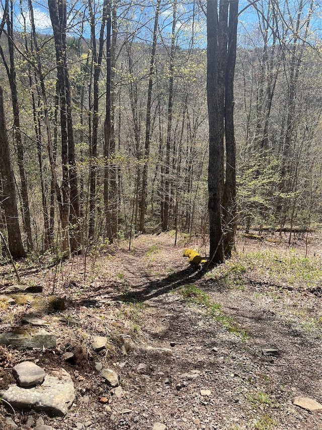 view of landscape with a view of trees