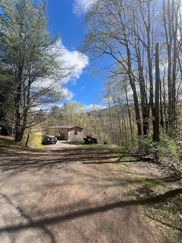 view of yard with dirt driveway
