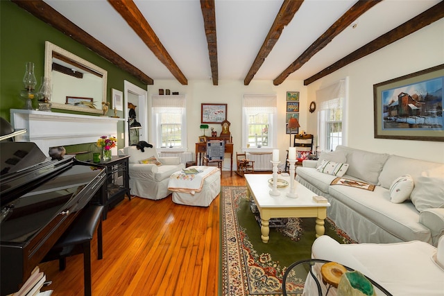 living room featuring radiator, a wealth of natural light, hardwood / wood-style floors, and beamed ceiling