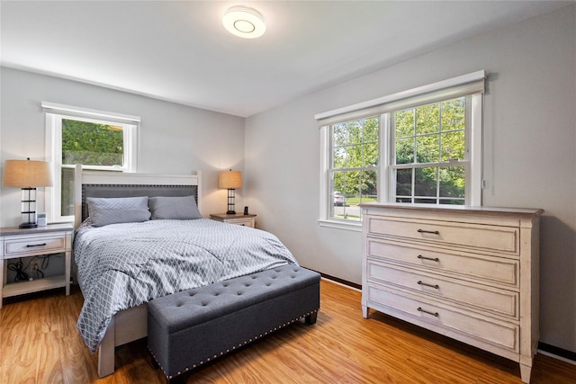 1037 Chestnut St, North Valley Stream, NY 11580 - bedroom featuring multiple windows and light wood-style flooring