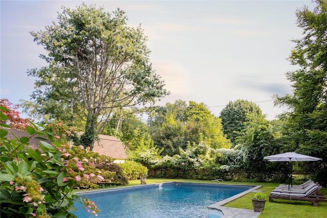 outdoor pool with a yard