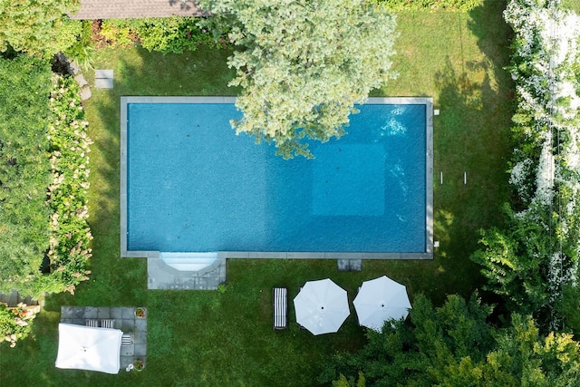 drone / aerial view