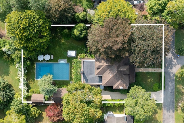 bird's eye view