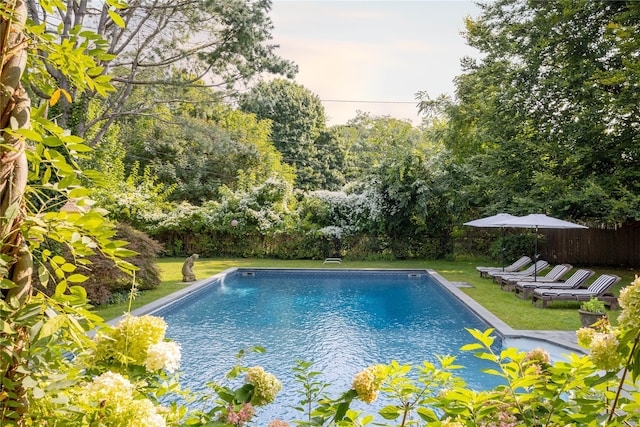pool featuring a yard and a fenced backyard
