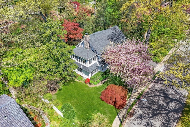 aerial view