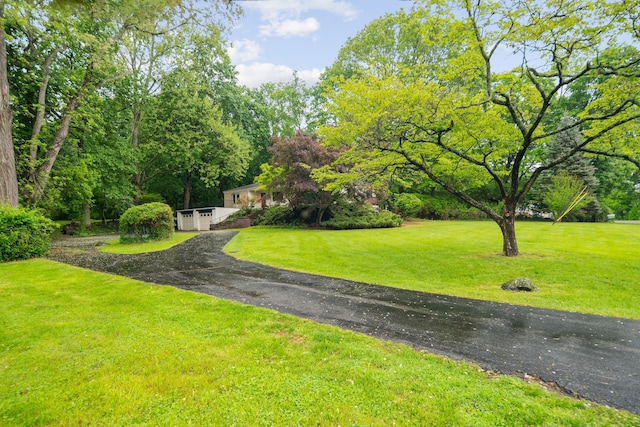 15 Riverview Farm Rd, Ossining, NY 10562 - surrounding community with a lawn