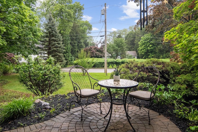 15 Riverview Farm Rd, Ossining, NY 10562 - view of patio