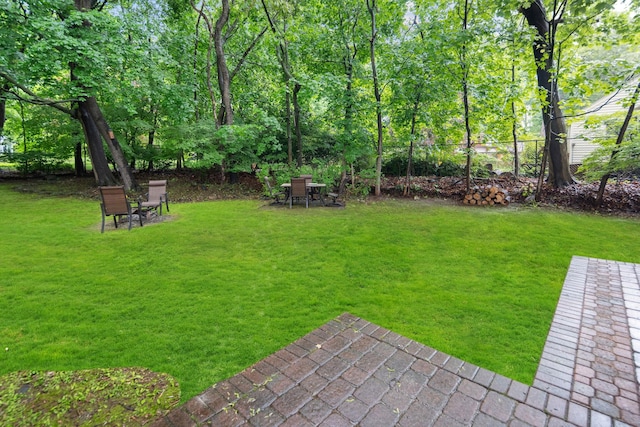 15 Riverview Farm Rd, Ossining, NY 10562 - view of green lawn