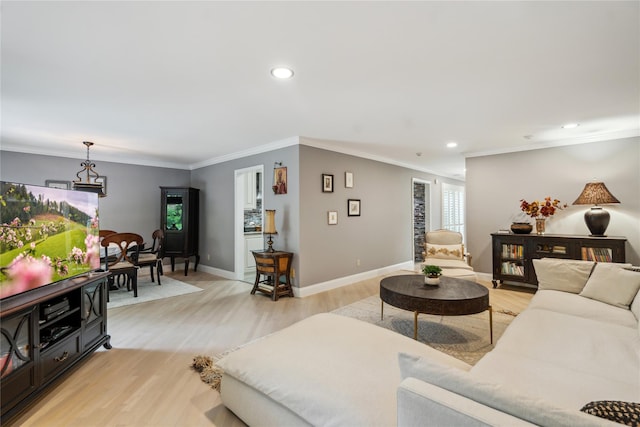 185 Old Pond Ct Unit 185, Jericho, NY 11753 - living room with light wood-style floors, crown molding, baseboards, and recessed lighting