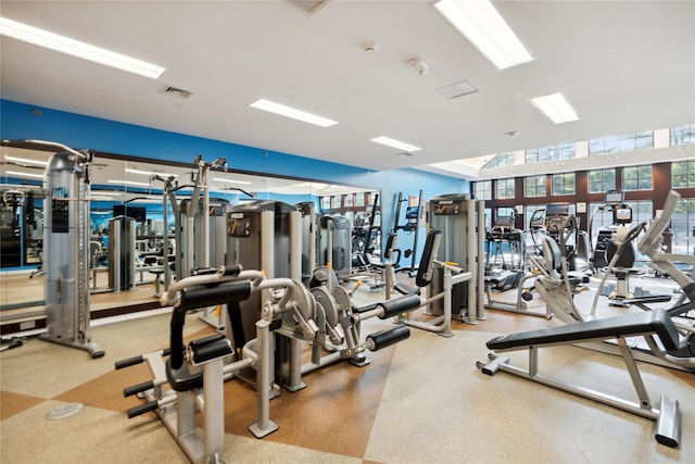 185 Old Pond Ct Unit 185, Jericho, NY 11753 - view of gym