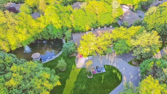 185 Old Pond Ct Unit 185, Jericho, NY 11753 - drone / aerial view