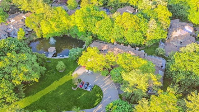 185 Old Pond Ct Unit 185, Jericho, NY 11753 - bird's eye view