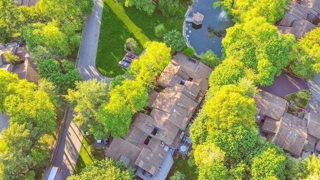 185 Old Pond Ct Unit 185, Jericho, NY 11753 - aerial view of residential area