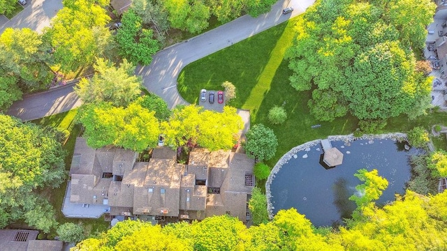 185 Old Pond Ct Unit 185, Jericho, NY 11753 - aerial view
