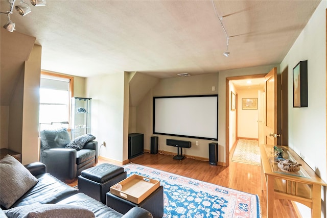 16 Charlotte Dr, Lagrangeville, NY 12540 - cinema room with light wood-type flooring
