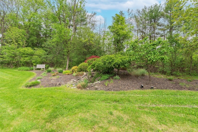 16 Charlotte Dr, Lagrangeville, NY 12540 - view of grassy yard