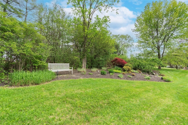 16 Charlotte Dr, Lagrangeville, NY 12540 - view of grassy yard