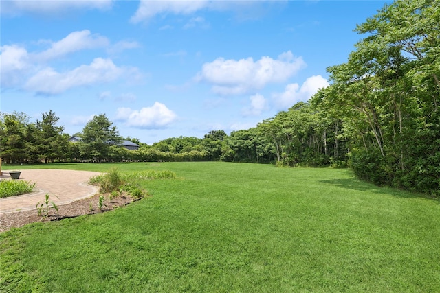1465 Ackerly Pond Ln, Southold, NY 11971 - view of grassy yard featuring a forest view