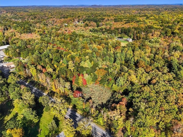 4888 Albany Post Rd, Staatsburg, NY 12538 - photo 2