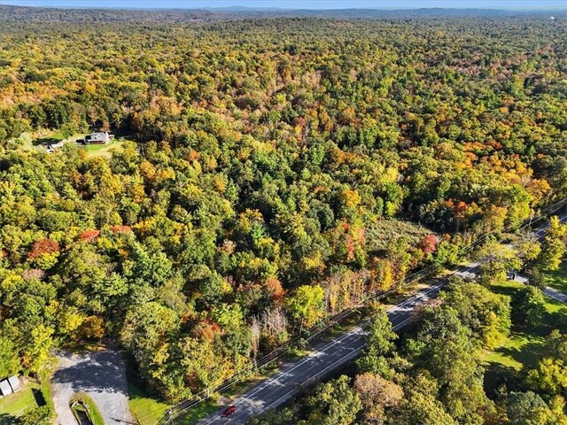 4888 Albany Post Rd, Staatsburg, NY 12538 - photo 4