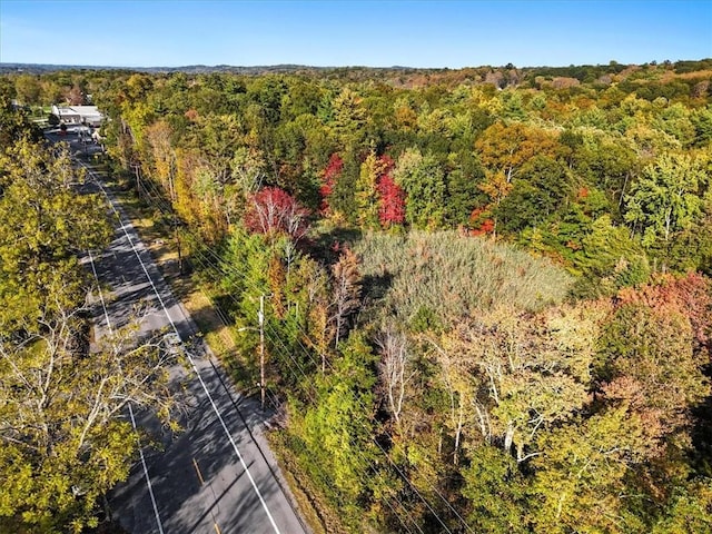 4888 Albany Post Rd, Staatsburg, NY 12538 - photo 8