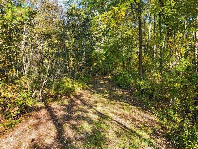 4888 Albany Post Rd, Staatsburg, NY 12538 - photo 11