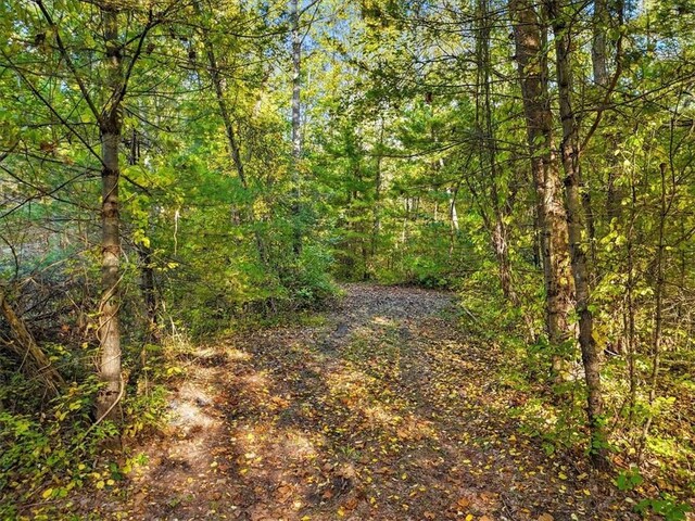 4888 Albany Post Rd, Staatsburg, NY 12538 - photo 12