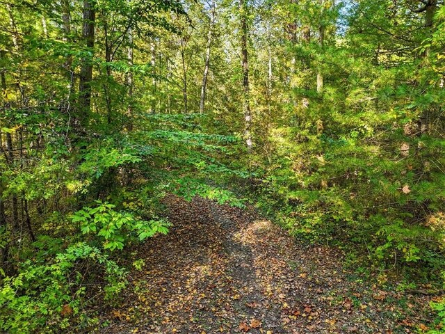 4888 Albany Post Rd, Staatsburg, NY 12538 - photo 13