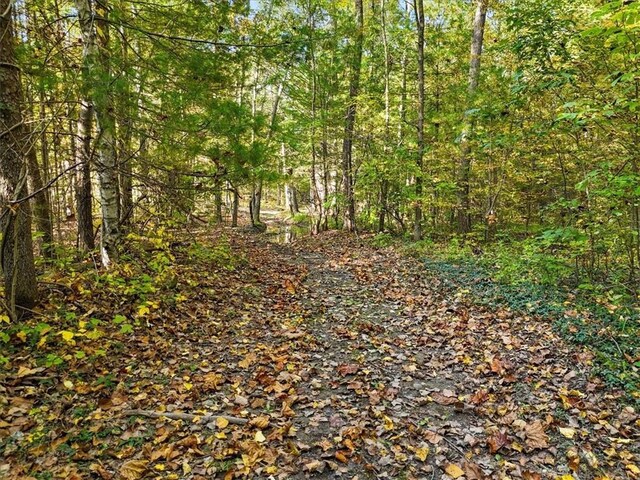 4888 Albany Post Rd, Staatsburg, NY 12538 - photo 14