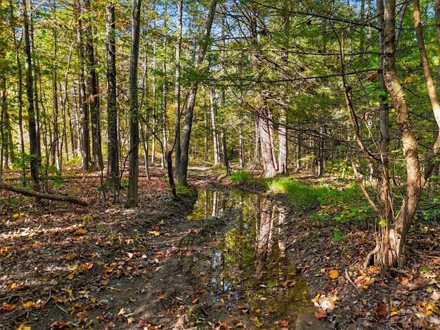 4888 Albany Post Rd, Staatsburg, NY 12538 - photo 15