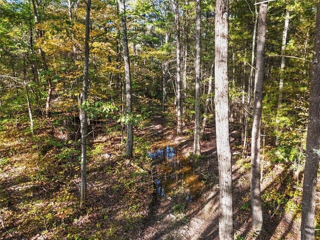 4888 Albany Post Rd, Staatsburg, NY 12538 - photo 16