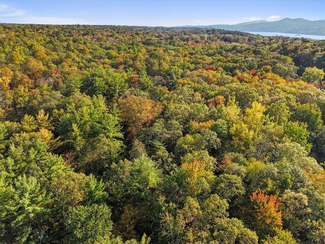 4888 Albany Post Rd, Staatsburg, NY 12538 - photo 18