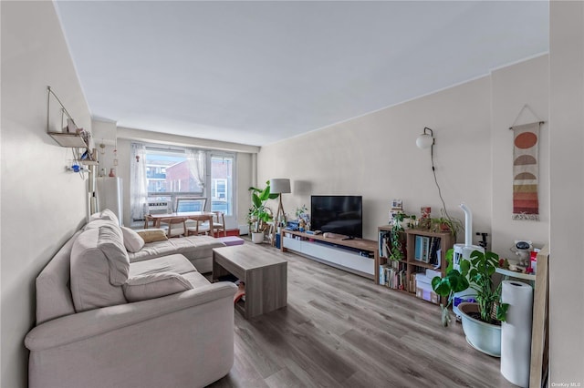 living room with wood finished floors
