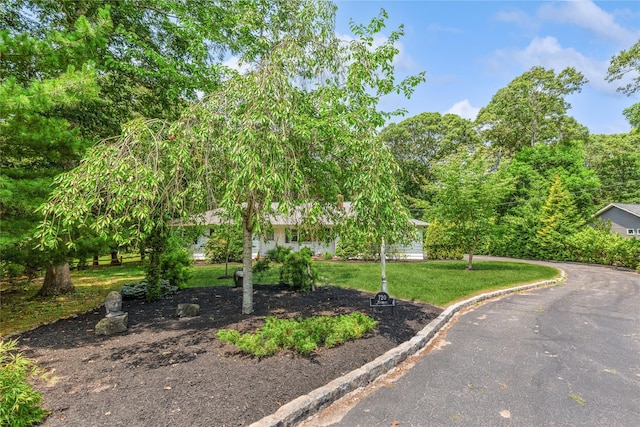 720 Midwood Rd, Cutchogue, NY 11935 - view of property hidden behind natural elements featuring a front yard
