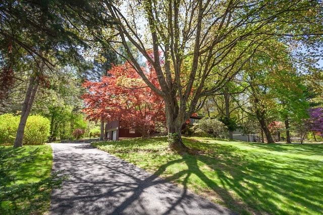 view of home's community with a yard