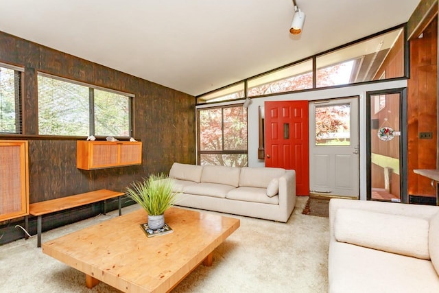 carpeted living area featuring lofted ceiling