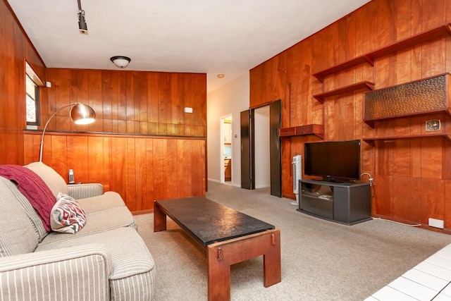 living room with wood walls and carpet