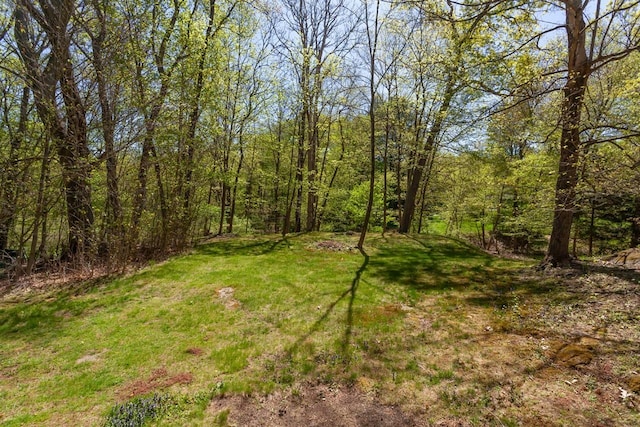 view of yard featuring a view of trees