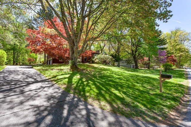 view of home's community with a lawn and aphalt driveway