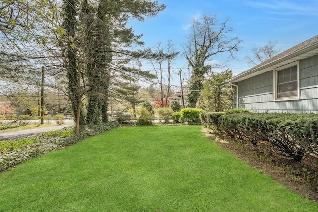 572 Scarsdale Rd, Tuckahoe, NY 10707 - view of yard
