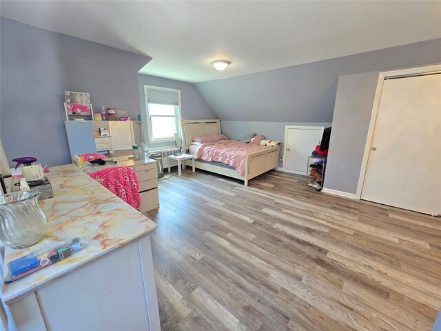 221-15 112th Ave, Queens Village, NY 11429 - bedroom with light wood-type flooring and vaulted ceiling